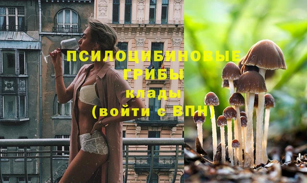 марки lsd Няндома